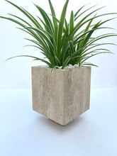 Load image into Gallery viewer, The Textured Planter (Travertine)
